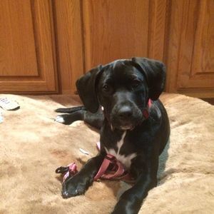 Meet your Posher, Susan